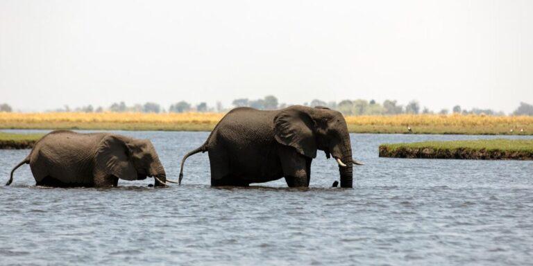 3N 4D Sri Lanka Holiday Package